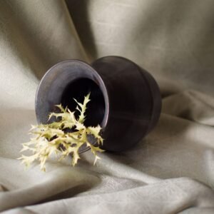 Noapte cu dungă neagră