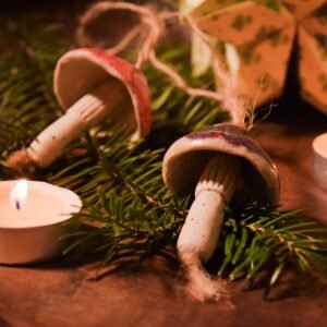 Ciupercuțe cu magie