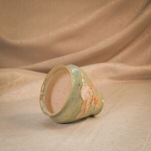 Vază licheni glaciari