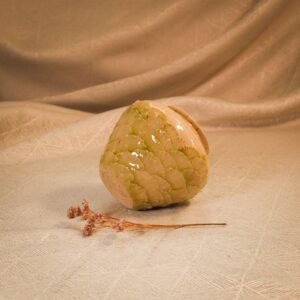 Vază pădure de licheni